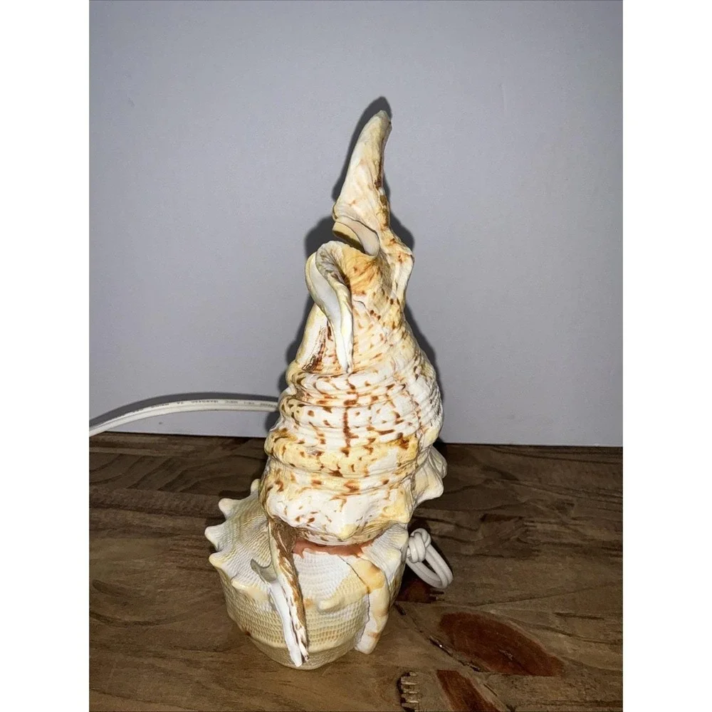 Vintage Real Conch Shell Lamp Night Light Accent Light w/ In-Line Power Switch